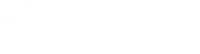 leader flag
